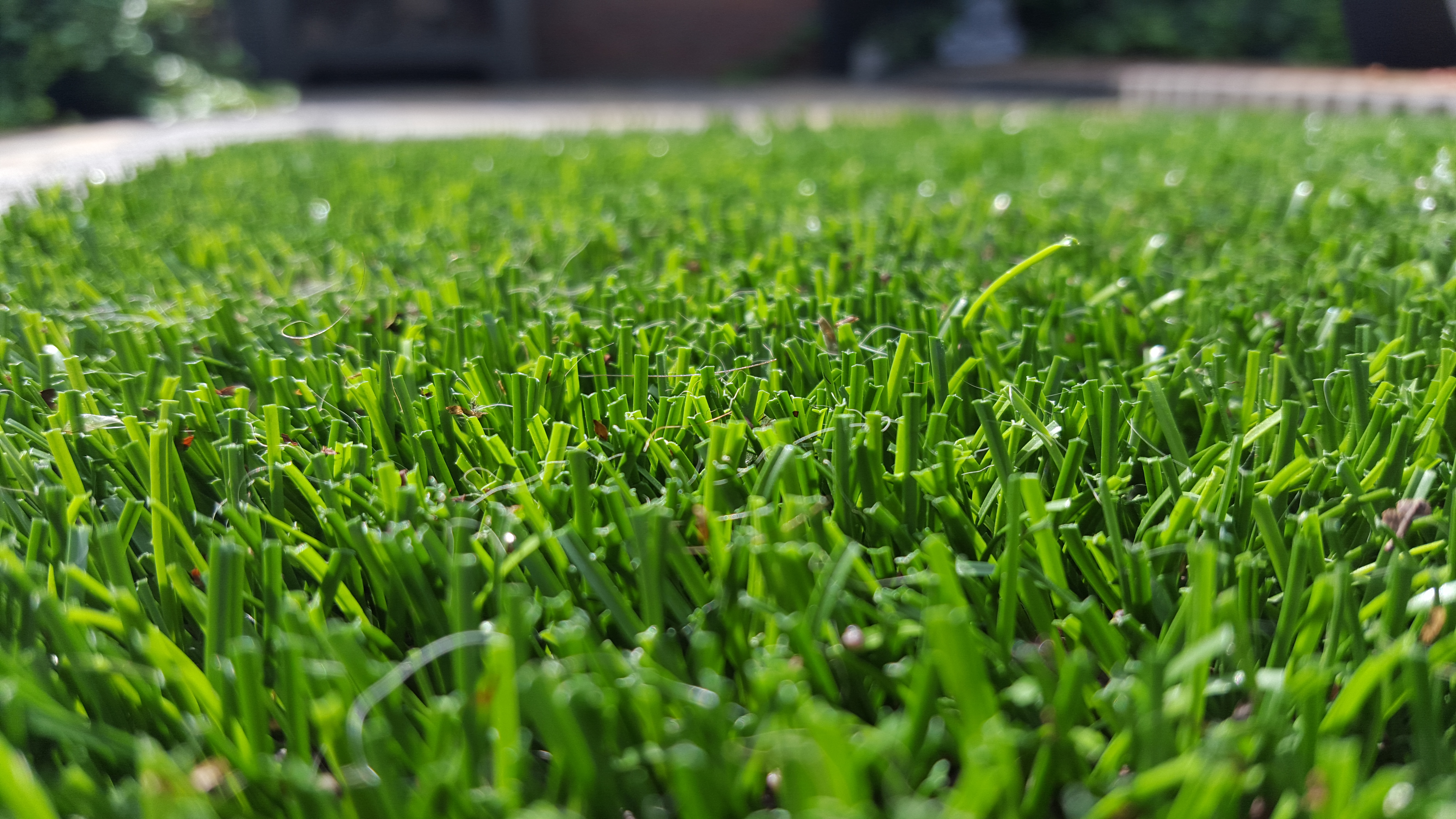 Planning RIVM onderzoek gebruik rubbergranulaat op kunstgras