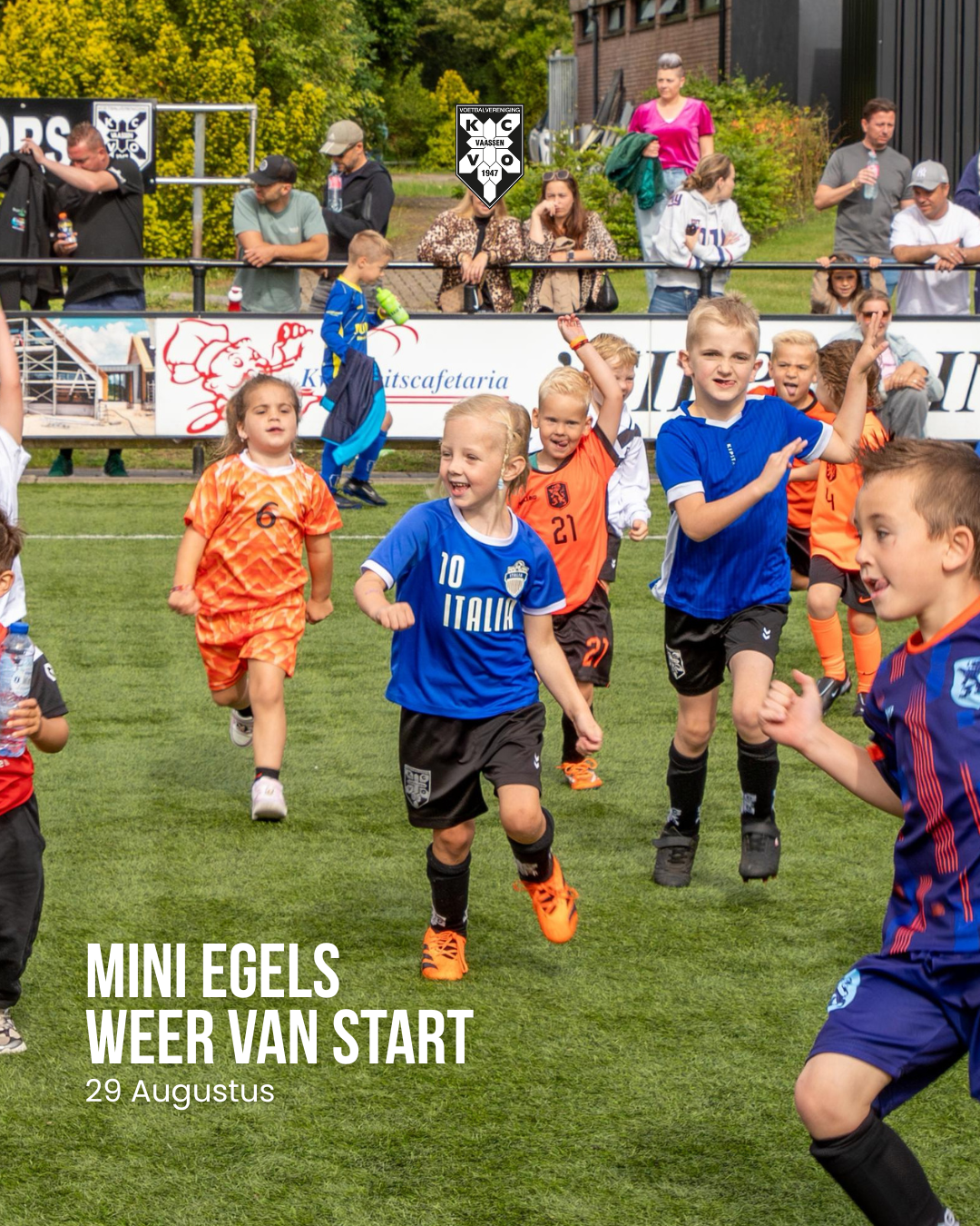 De Mini Egels